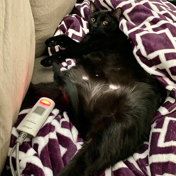 Simple, classic, random with a dash of sparkle - Picture 2 of 4